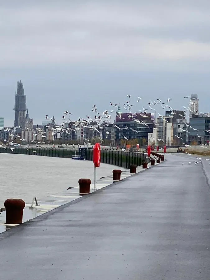 Luxe-Appartement Aan De Schelde Antwerp Apartment
